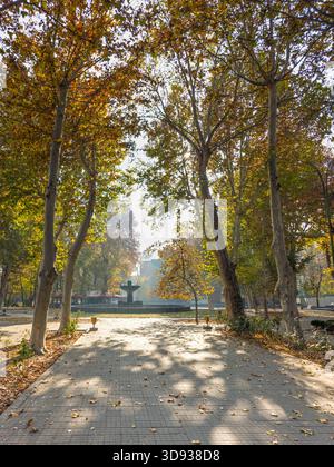 Un sentiero in un parco con alberi e una fontana. Gli alberi sono pieni di foglie e il sole splende sul sentiero Foto Stock