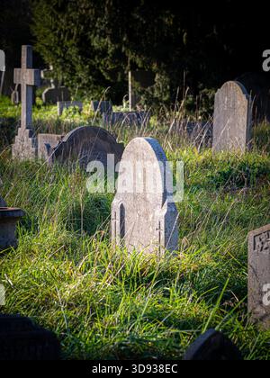 La luce del sole illumina l'erba lunga e le lapidi intemperie in una zona tranquilla e ricoperta di vegetazione del cimitero di Brompton, Londra. Foto Stock