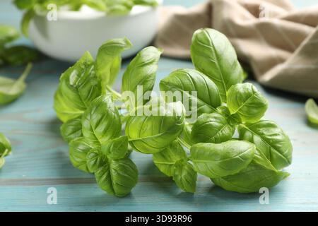 Foglie di basilico fresco su un tavolo di legno azzurro, primo piano Foto Stock