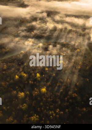 Dall'alto, i raggi del sole mattutini perforano un velo di nebbia, gettando strisce diagonali di luce su una foresta autunnale. Foto Stock