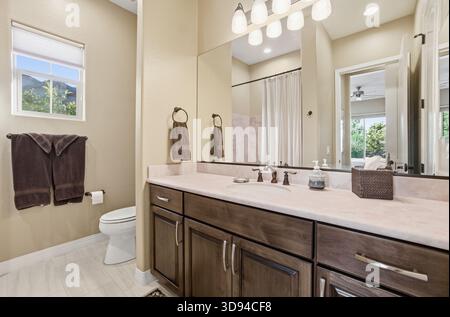Bagno moderno, elegante design con illuminazione brillante e arredi in legno scuro Foto Stock