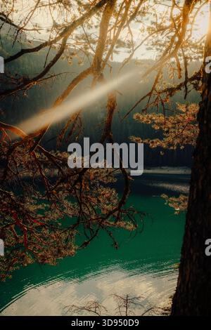 I raggi del sole che scorre attraverso i rami di pino sopra un lago di montagna turchese, creano un'atmosfera calda e tranquilla in un tranquillo paesaggio naturale Foto Stock