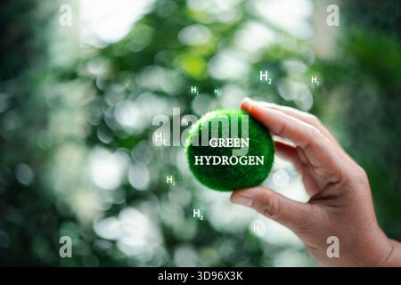 Ambiente, industria ecocompatibile ed energia alternativa. Una soluzione energetica rispettosa del clima in futuro per un obiettivo zero netto. Riduzione dei gas serra Foto Stock