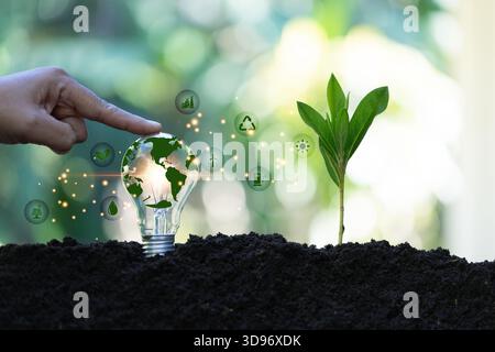 La lampadina si trova sul terreno e le piante crescono con il grafico della crescita. La generazione di energia rinnovabile è essenziale in futuro. Fonti alternative Foto Stock