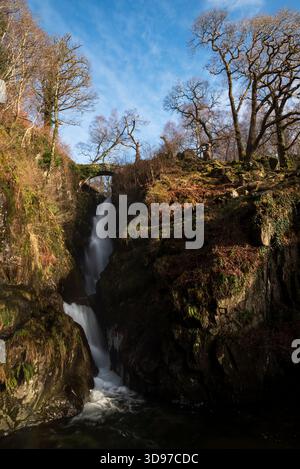 Cascata Aira Force che si getta sotto un antico ponte di pietra nel Lake District. Foto Stock