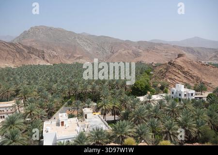 Oasi di palme e paesaggio montano a Birkat al Mouz, Oman Foto Stock