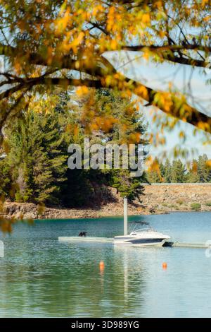 Tranquillo scenario autunnale con barca ormeggiata e cane che si godono sul molo nel tranquillo lago della nuova Zelanda Foto Stock
