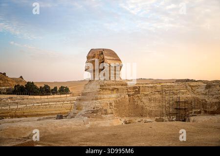 La Sfinge nella Piramide di Giza complesso al tramonto Foto Stock