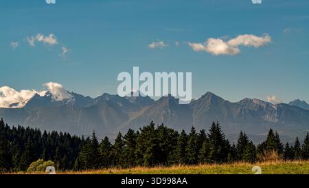 Ampio paesaggio caratterizzato da aspre cime montuose di Tatra dietro una foresta verde scuro e un prato dorato. Un ambiente naturale calmo ed esteso adatto ai viaggi, Foto Stock