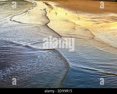 Piccole onde che lambiscono dolcemente su una spiaggia sabbiosa al crepuscolo. Niente persone. Copia spazio. Foto Stock
