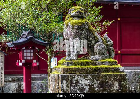 Una scultura komainu ricoperta di muschio (figura di guardiano leone-cane con un cucciolo) all'ingresso del santuario Hakone-jinja a Hakone. I komainu custodiscono gli ingressi dei santuari shintoisti giapponesi a coppie; una figura ha la bocca aperta (A), l'altra chiusa (Un), simboleggiando l'inizio e la fine. Hakone, Prefettura di Kanagawa, Giappone Foto Stock