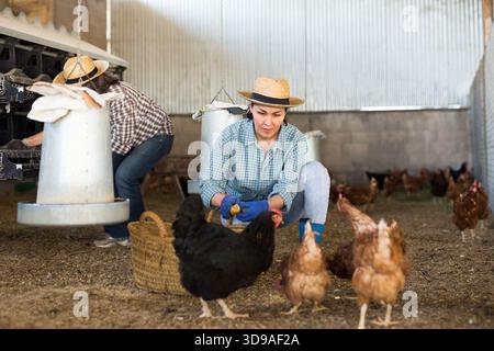Donna kazaka nutre galline ovaiole Foto Stock