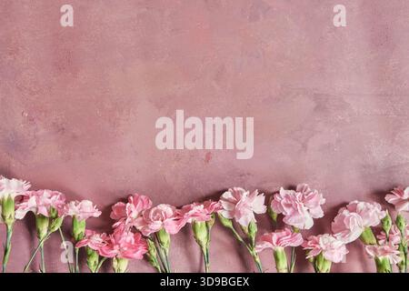 Foto di garofani in primo piano su sfondo rosa con spazio di copia per il testo Foto Stock