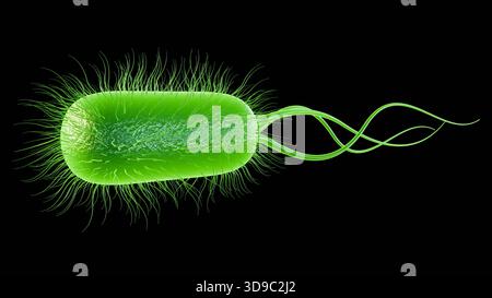 Illustrazione 3D di batteri illuminati, verde brillante, direttamente collegati alla bioluminescenza naturale. Foto Stock