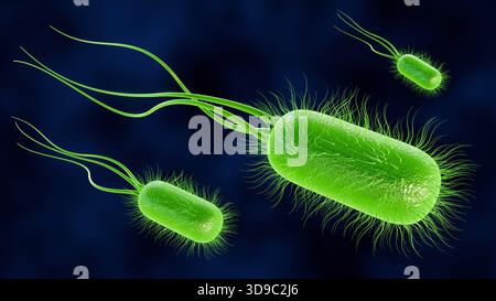 Illustrazione 3D di batteri illuminati, verde brillante, direttamente collegati alla bioluminescenza naturale. Foto Stock