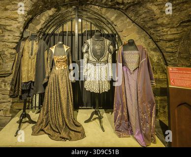 Costumi della Cattedrale di Christchurch del periodo Tudor, Dublino, Contea di Dublino, Irlanda Foto Stock