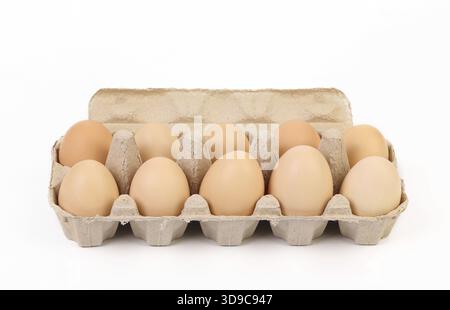 Dieci uova marroni in una scatola di uova di carta Foto Stock