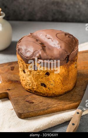 Dolce torta di panettone al cioccolato italiano per Natale pronto da mangiare Foto Stock