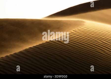 La vista delle dune scolpite dal vento si snoda lungo l'arido paesaggio, mentre la sabbia dorata danzava nella brezza, creando un'affascinante vista del deserto, Rub' al-Khali, Foto Stock