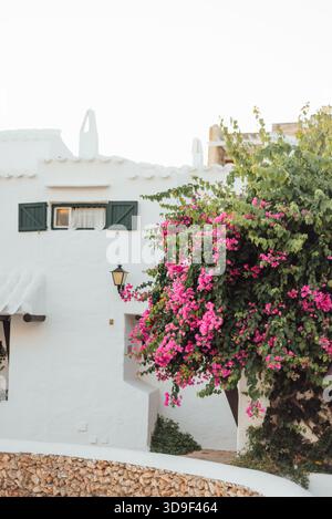 Casa imbiancata e Bougainvillea a Binibeca Vell, Minorca, Spagna Foto Stock