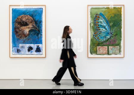 Londra, Regno Unito. 5 dicembre 2025. Un membro del personale passa (L) “Observation: Common Swift, Apus Apus. Consuma 20.000 insetti al giorno» e «Observation on the Migration Theory of Polyommatus Butterflies», entrambi nel 2025, all’apertura di Oswaldo Maciá: Migratory Movements, una nuova mostra dell’artista colombiano Oswaldo Maciá presso la galleria Elizabeth Xi Bauer di Exmouth Market. Le opere dell'artista esplorano l'ecologia, l'ambiente e il mondo naturale. Lo spettacolo si svolge fino al 15 febbraio 2026. Crediti: Stephen Chung / Alamy Live News Foto Stock