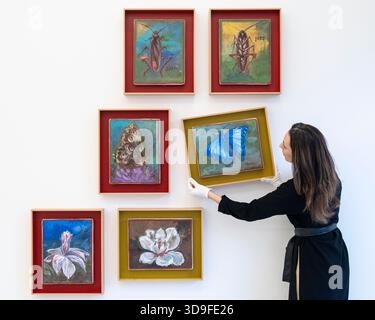 Londra, Regno Unito. 5 dicembre 2025. Un membro dello staff impicca ’Morpho (Inside)’, 2025, all’apertura di Oswaldo Maciá: Migratory Movements, una nuova mostra dell’artista colombiano Oswaldo Maciá presso la galleria Elizabeth Xi Bauer di Exmouth Market. Le opere dell'artista esplorano l'ecologia, l'ambiente e il mondo naturale. Lo spettacolo si svolge fino al 15 febbraio 2026. Crediti: Stephen Chung / Alamy Live News Foto Stock