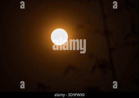 Tehatta, India. 4 dicembre 2025. L'ultima luna piena dell'anno, la Luna fredda, è una super luna visibile attraverso varie vegetazioni progettate, che si innalza a Tehatta e illumina il cielo notturno. Il nome "Luna fredda" riflette il calo delle temperature nell'emisfero settentrionale con l'arrivo dell'inverno. È anche chiamata la "Luna prima di Yule", che segna l'ultima luna piena prima di Natale. Questa super luna appare più grande e luminosa quando si avvicina al suo perigeo. (Foto di Soumyabrata Roy/Pacific Press) credito: Pacific Press Media Production Corp./Alamy Live News Foto Stock