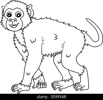 Pagina di colorazione isolata di Rhesus Macaque Monkey Illustrazione Vettoriale