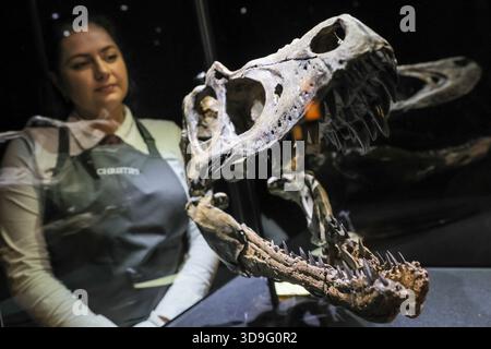 Londra, Regno Unito. 5 dicembre 2025. Londra, Regno Unito. Il personale di Christie con "Jaw Bones of a Nanotyrannus", proveniente dalla formazione Hell Creek circa 67-66 milioni di anni fa, un pezzo raro e significativo. Stima: £250.000-350.000. Christie's Groundbreakers: Icons of Our Time, parte della Classic Week, sarà l'11 dicembre 2025. Crediti: Imageplotter/Alamy Live News Foto Stock