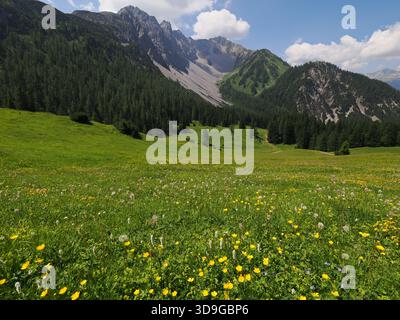 Vista panoramica sul monte Marienberg, Biberwier, Austria Foto Stock