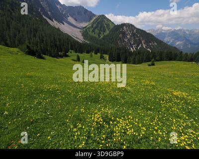 Vista panoramica sul monte Marienberg, Biberwier, Austria Foto Stock