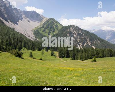 Vista panoramica sul prato fiorito e sulle montagne, Marienberg, Biberwier, Austria Foto Stock