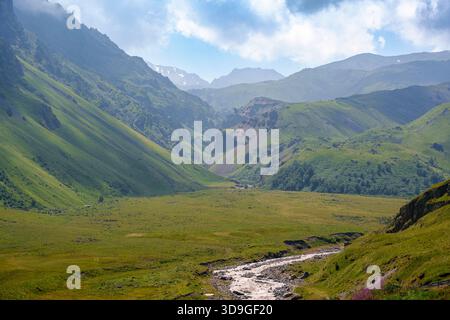 Un torrente roccioso di montagna scorre attraverso una remota valle verde circondata da ripidi pendii erbosi, sotto la luce naturale in un tranquillo paesaggio estivo. Foto Stock