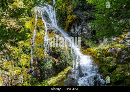 Cascate d'acqua sulle rocce ricoperte di muschio nelle montagne della Patagonia meridionale. Santa Cruz, Argentina. Foto Stock
