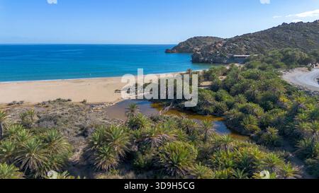 Vai, foresta di palme e spiaggia a Creta Foto Stock