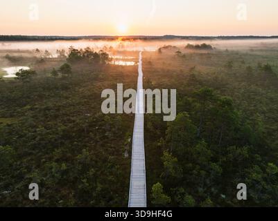 Passerella di paludi in legno che conduce a un'alba nebbiosa sulle paludi primordiali dell'Estonia, catturata da una prospettiva di droni aerei. Foto Stock