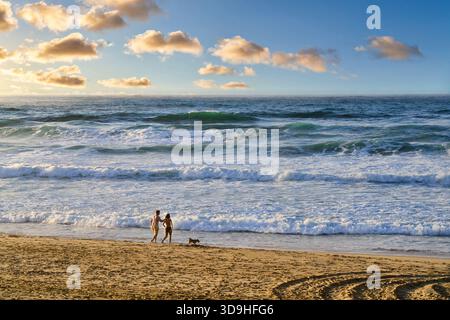 Coppia con cane sulla spiaggia, Zurriola Beach, Donostia, San Sebastián, Gipuzkoa, paesi Baschi, Spagna, Europa Foto Stock