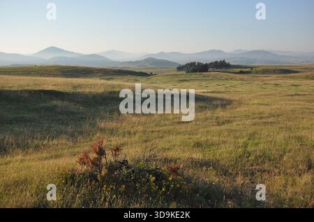 I verdi campi ondulati si estendono attraverso il paesaggio sotto un cielo azzurro luminoso la mattina presto. Le montagne sbiadono in lontananza mentre la luce soffusa si riempie Foto Stock