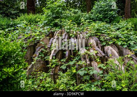 Historic gravestones arranged around the base of the fallen Hardy Tree at St Pancras Old Church cemetery, linked to writer Thomas Hardy, London, UK Foto Stock