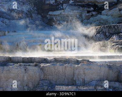 Vapore geotermico che si innalza dalle formazioni minerali terrazzate bagnate alle Mammoth Hot Springs, creando un'atmosfera mistica. Foto Stock