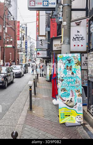 Osaka, Giappone - 31 marzo 2025: Sala delle fate del caffè abbracciato dagli animali a Osaka, Giappone Foto Stock