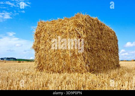 Primo piano di una grande balla di fieno quadrata rimasta seduta in un campo dopo la raccolta, isolata contro un cielo blu. Foto Stock