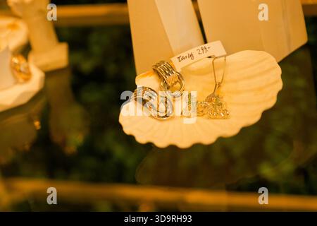 Un elegante ciondolo in oro e un paio di orecchini moderni sono esposti su un portagioie a forma di conchiglia collocato su un ripiano di vetro in una gioielleria luminosa. Foto Stock