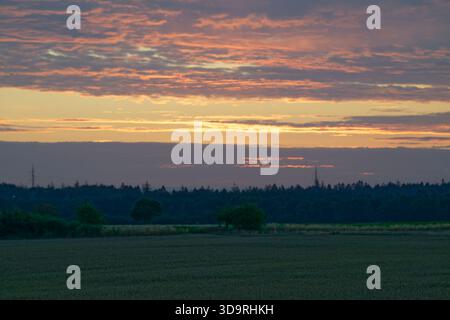 Il tramonto dorato illumina il cielo sopra un campo verde e una foresta lontana. Le torri radio e i cavi si allungano lungo la vista, mentre i colori caldi si riflettono sul Foto Stock