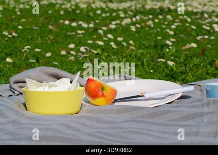 Sul prato verde, un picnic nello schrevenpark di kiel. Una coperta grigia può contenere due piatti, uno giallo con un tovagliolo e uno bianco. Un coltello riposa nelle vicinanze e un Foto Stock