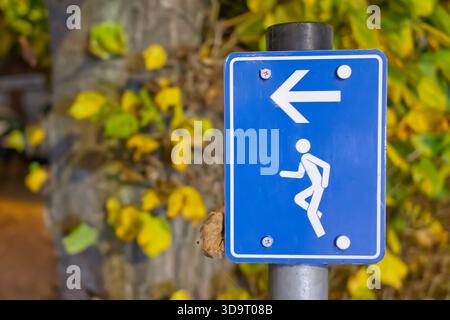 Un cartello blu direzionale che indica un percorso pedonale, con un'immagine di una persona che cammina. Lo sfondo include le foglie autunnali, suggerendo Foto Stock