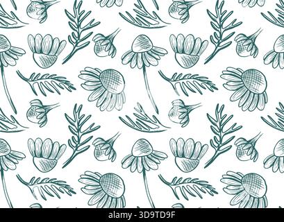 Motivo vettoriale senza cuciture con fiori di camomilla e foglie su uno stelo. Illustrazione botanica monocromatica con fiori selvatici. Disegni a linee disegnati a mano con flusso Foto Stock