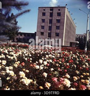 Una fotografia vintage a colori d'archivio che cattura l'enorme edificio amministrativo del Comitato Esecutivo cittadino a Sloviansk, regione di Donetsk, Ucraina, durante gli anni '1980 La struttura modernista sovietica si trova in Piazza della Rivoluzione d'ottobre (ora Piazza Soborna). In primo piano, un vasto letto di fiori è traboccante di rose bianche e rosse in fiore, che mettono in risalto il paesaggio urbano dell'epoca. Questa vista panoramica estiva riflette l'atmosfera ordinata e soleggiata di un tranquillo Donbas. Foto Stock
