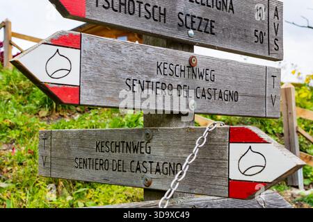 Bressanone (Bressanone): Cartello con il “Keschtnweg” (sentiero escursionistico di castagni) in alto Adige, Trentino-alto Adige, Italia Foto Stock