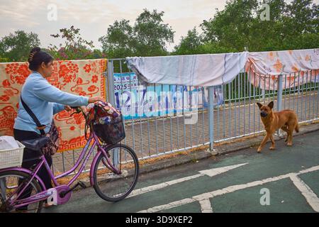 Hong Kong, Cina. 7 dicembre 2025. Una donna passa davanti a un manifesto per le elezioni legislative a Tin Shui Wai. Le elezioni generali del Consiglio legislativo di Hong Kong del 2025 si svolgeranno il 7 dicembre 2025 per eleggere i 90 membri dell'ottavo Consiglio legislativo di Hong Kong. Credito: SOPA Images Limited/Alamy Live News Foto Stock
